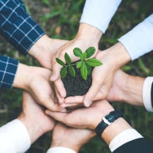 Gestão Ambiental e Sustentabilidade